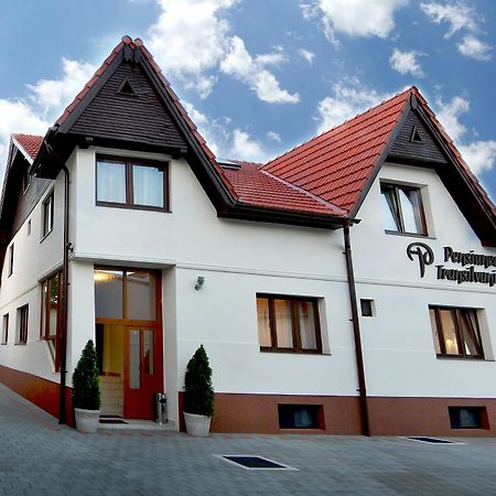 Pensiunea Transilvania Sibiu Ngoại thất bức ảnh