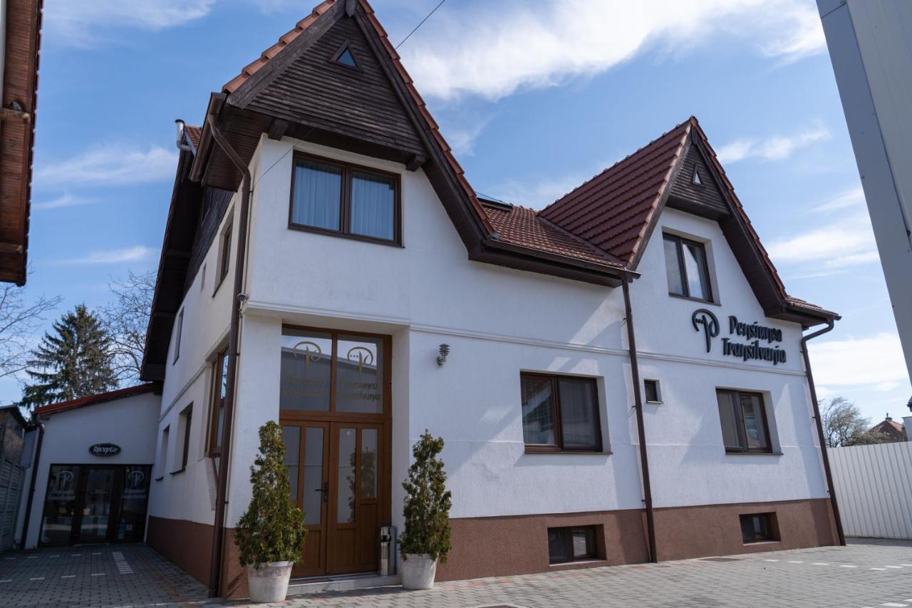 Pensiunea Transilvania Sibiu Ngoại thất bức ảnh