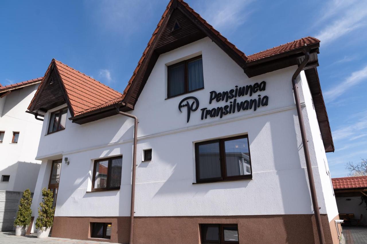 Pensiunea Transilvania Sibiu Ngoại thất bức ảnh