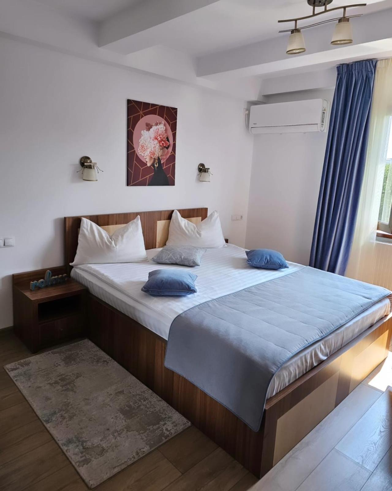 Pensiunea Transilvania Sibiu Ngoại thất bức ảnh